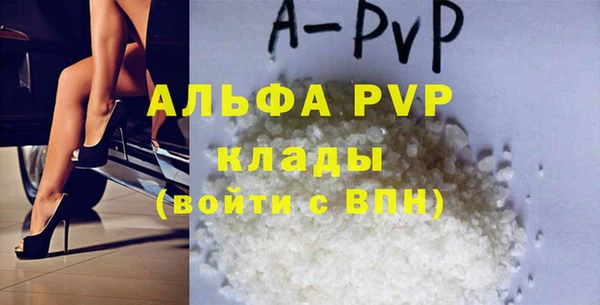 спайс Инта