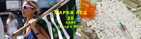 спайс Инта