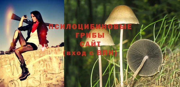 прущие крисы Инсар