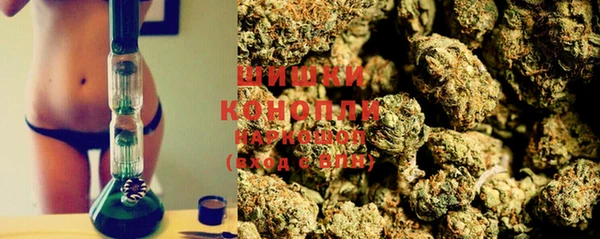 спайс Инта