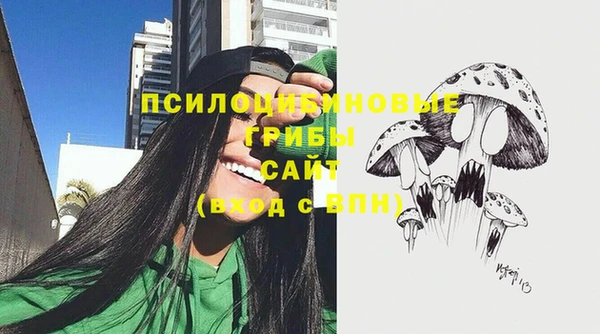 МДПВ Каменск-Шахтинский