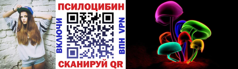 Галлюциногенные грибы Psilocybe  Купить закладки  Кохма 